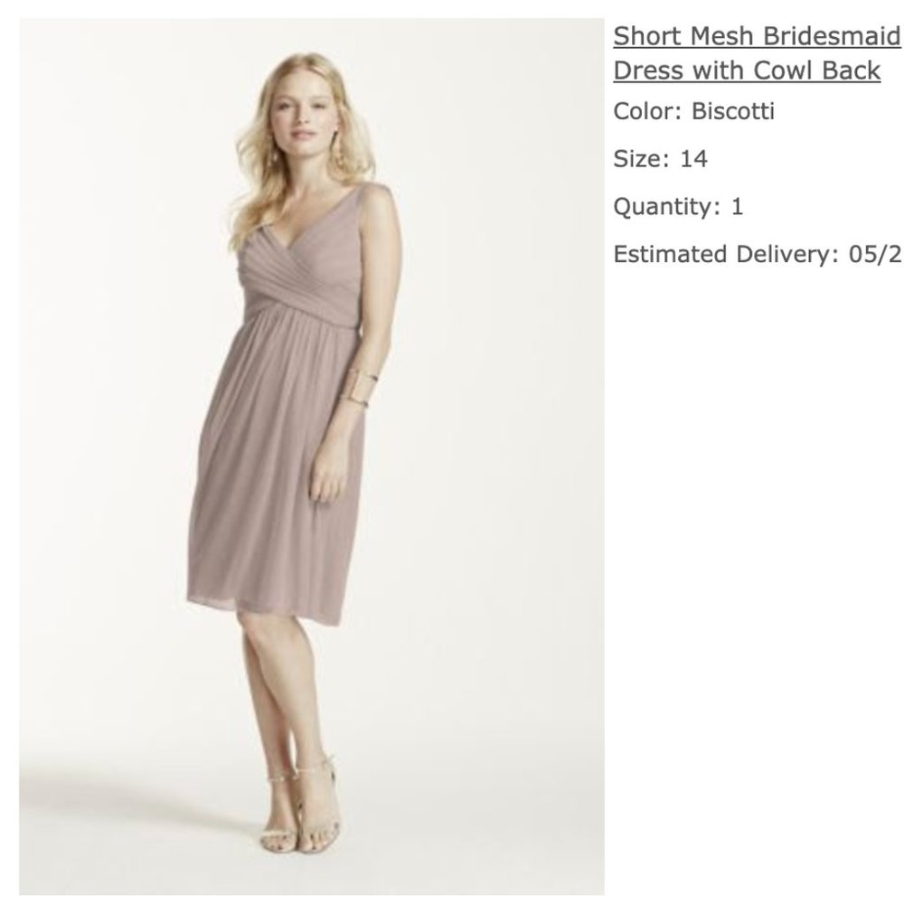 Short Mesh Bridesmaid Dress Cowl Back Biscotti 14